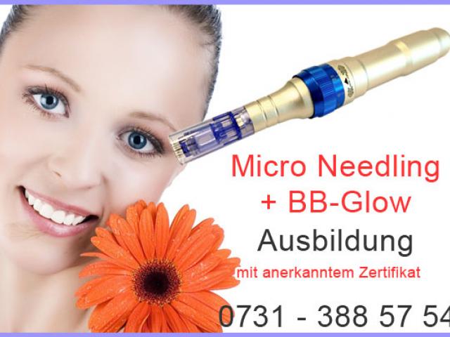 Schulung Microneedling mit Zertifikat Sigmaringen Sigmaringen